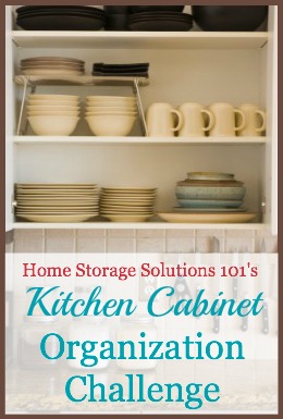 Organize My Kitchen Cabinets