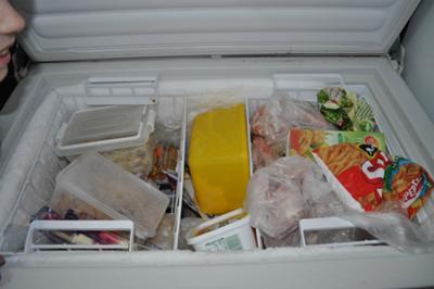 Chest freezer before