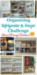organize refrigerator and freezer challenge