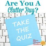 Are you a clutter bug? Take the quiz {on Home Storage Solutions 101}