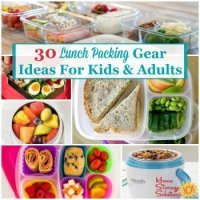 lunch packing gear for kids and adults