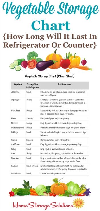 Free printable fresh vegetable storage chart, which answers the question of how long will various types of fresh vegetables last in either the refrigerator, or on the counter, when you use the best storage methods {courtesy of Home Storage Solutions 101} #VegetableStorage #FoodStorage #StoringFreshVegetables