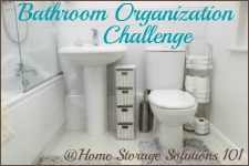 Bathroom Organization Challenge