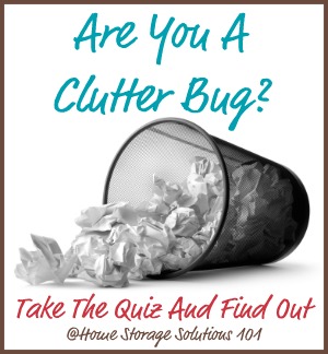 Are you a clutter bug? Take the 10 question quiz and find out, and if you are one, also find out what you can do about it. {on Home Storage Solutions 101}