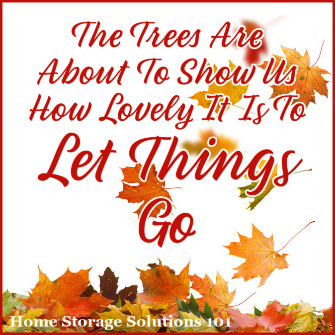 The trees are about to show us how lovely it is to let things go {Fall decluttering checklist, on Home Storage Solutions 101}