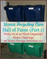 home recycling bin hall of fame {part 1}