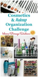 Cosmetics and makeup organization challenge
