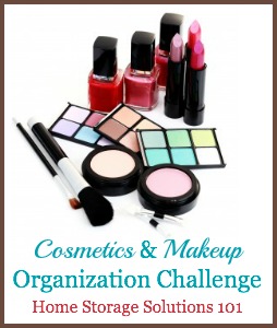 Cosmetics & Makeup Organization Challenge, with step by step instructions {part of the 52 Week Organized Home Challenge on Home Storage Solutions 101}