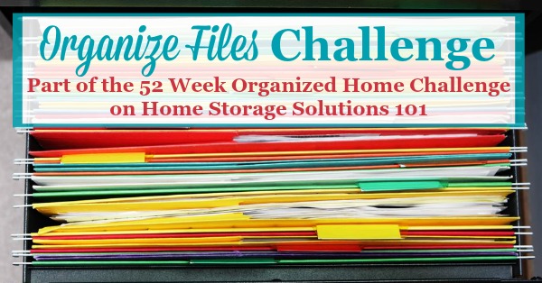 How to organize files and create a home filing system to keep all of the household paperwork organized {part of the 52 Week Organized Home Challenge on Home Storage Solutions 101}