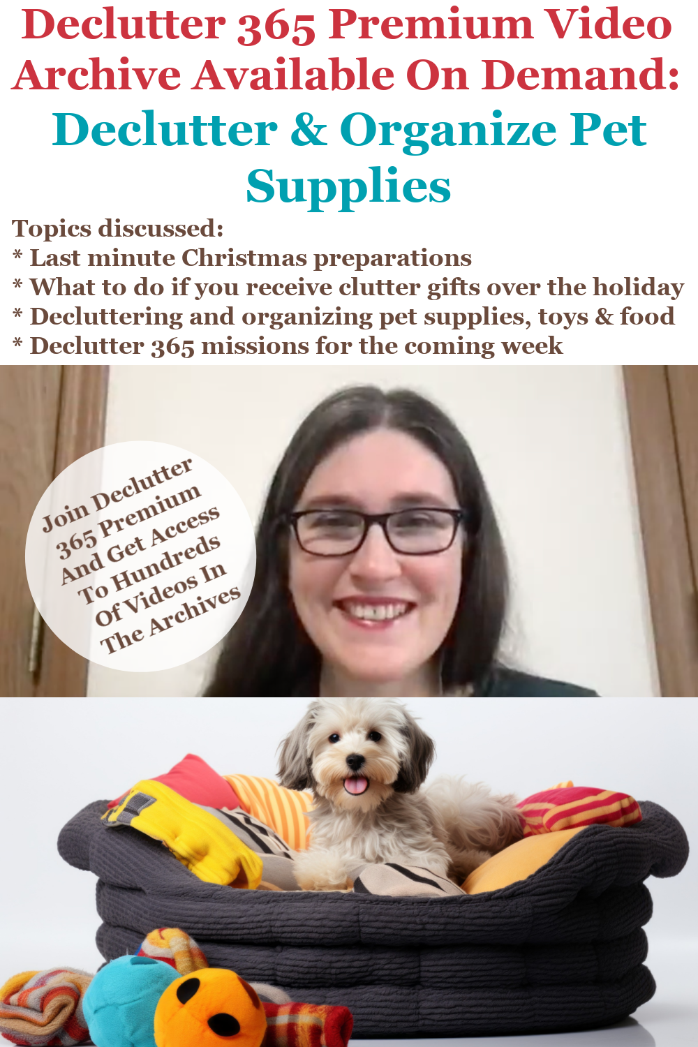 Dog pet supplies cheap
