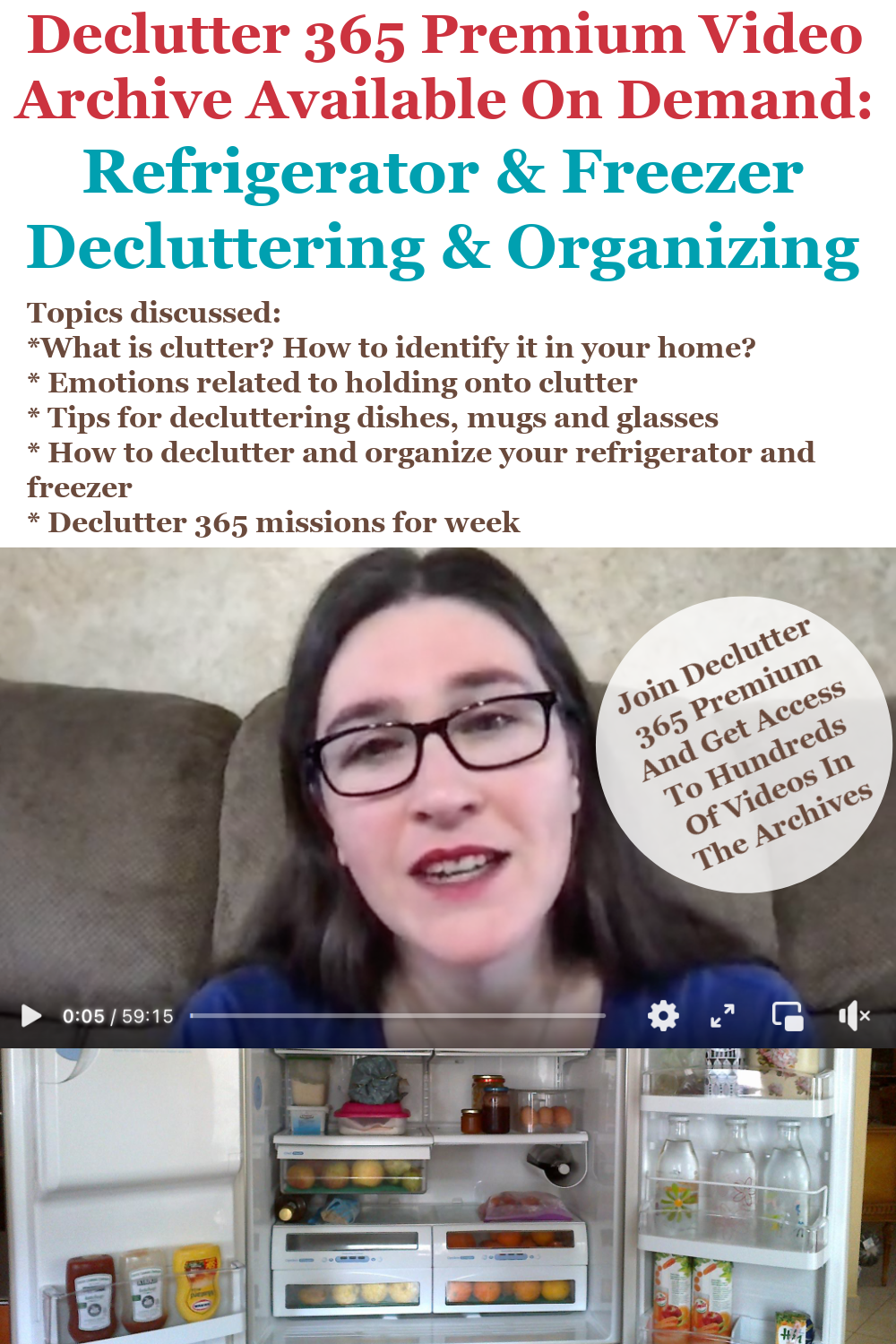 Declutter 365 Premium video archive available on demand all about decluttering and organizing your refrigerator and freezer, on Home Storage Solutions 101
