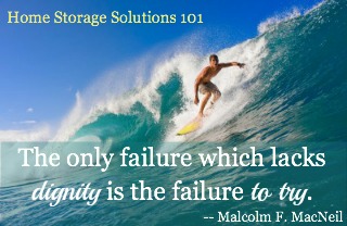 The only failure which lacks dignity is the failure to try.