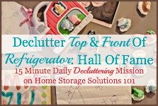 declutter top and front of refrigerator mission