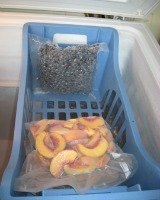 freezer basket holding foodsaver bags