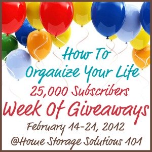 how to organize your life giveaway