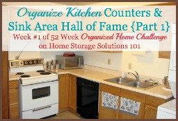 organize kitchen counters hall of fame