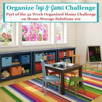 Organize Toys & Games Challenge