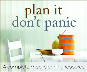 Plan It Don't Panic ebook