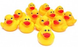 rubber ducks