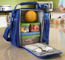 rubbermaid lunch blox lunch bag