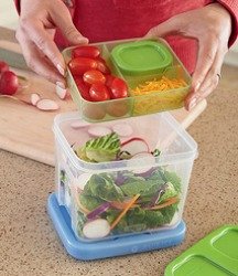 rubbermaid lunch blox salad kit