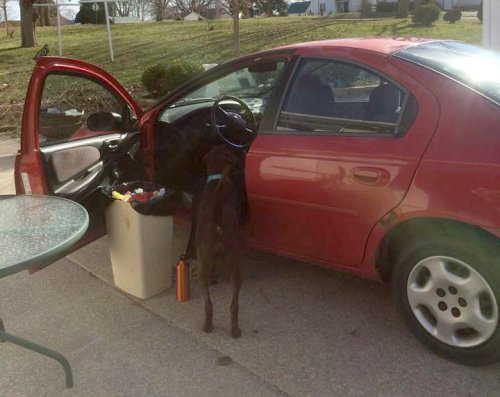 Grab a trash can or trash bag and declutter the interior of your car! {on Home Storage Solutions 101}