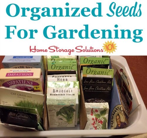 Organized seeds for use in gardening {featured on Home Storage Solutions 101}