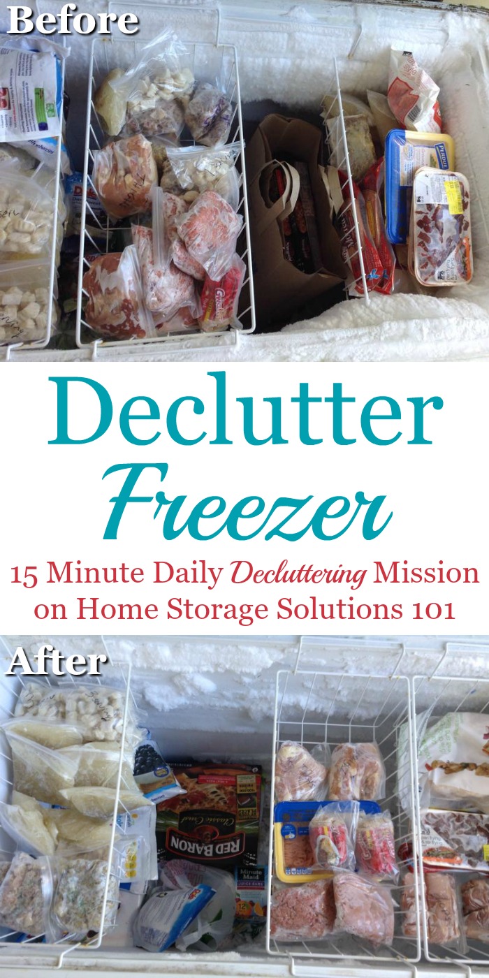 Freezer Storage 101: Freezing Techniques :: Southern Savers