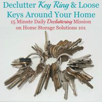 Declutter Key Ring &Amp; Loose Keys