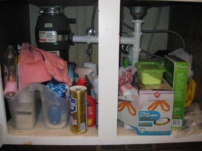 https://www.home-storage-solutions-101.com/images/karens-under-the-sink-before-and-after-pics-21605302.jpg