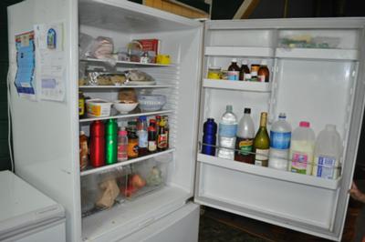 Fridge before