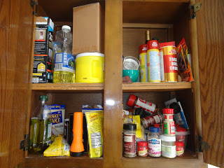 Dollar Tree organization idea for paint bottles / spices kitchen