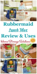 Rubbermaid Lunch Blox Rubbermaid Lunch Blox