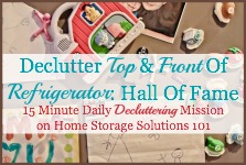 Declutter refrigerator front and top hall of fame