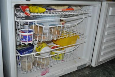Fridge freezer before