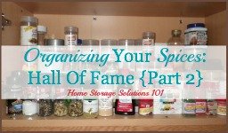 organizing your spices hall of fame {part 2}