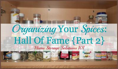 https://www.home-storage-solutions-101.com/images/xorganizing-your-spices-hall-of-fame-part-2-21761258.jpg.pagespeed.ic.22XP8pq6jZ.jpg