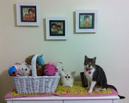 store stuffed animals in a basket